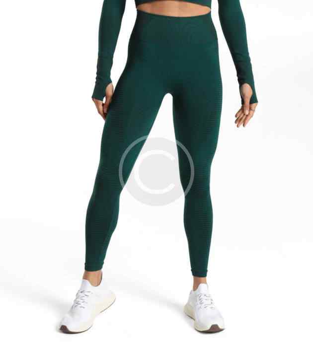 Seamless leggings